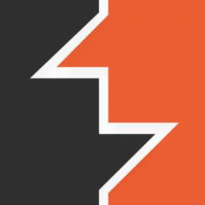 logo burp suite